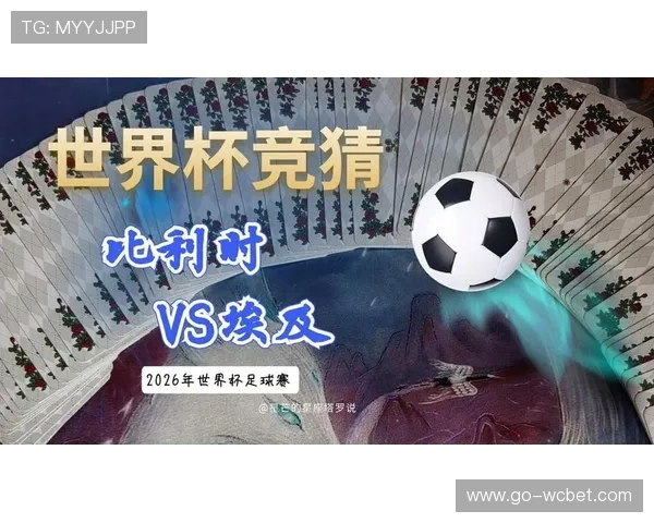 世界杯比利时VS埃及比赛的关键球员表现及战术分析报告