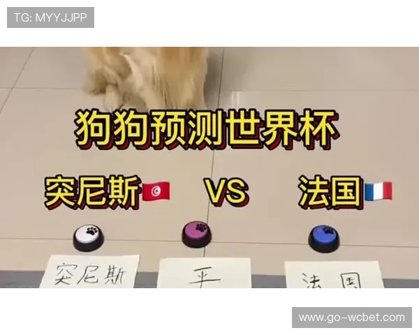 世界杯瑞典突尼斯比赛门票购买指南及最新购票信息详解